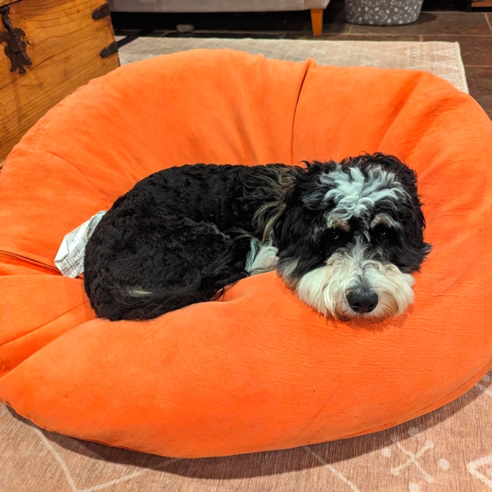 Meet your Posher, Ryoko